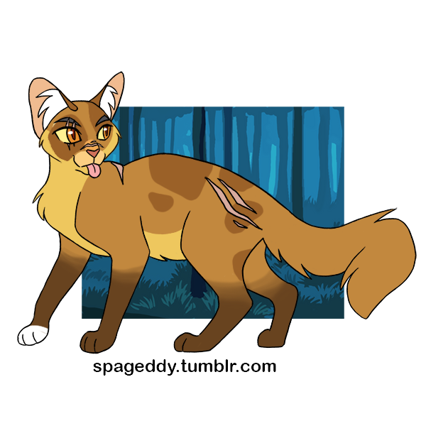 Picrew Warrior Cat OC maker by NadeshcoYukimara on DeviantArt