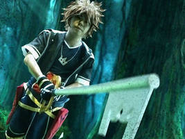 Sora from Kingdom Hearts 2 (3)