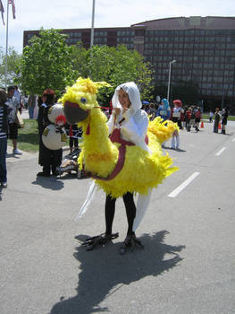 chocobo