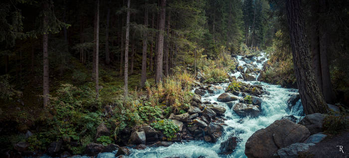 Running in Tirol