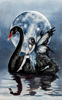 Black Swan