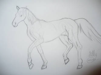 Horse Sketch