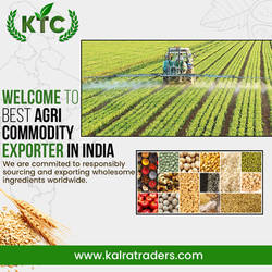 Best Agri Commodity Exporter in India