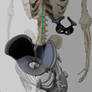 10and2hh 42in Centauress Skeleton 001