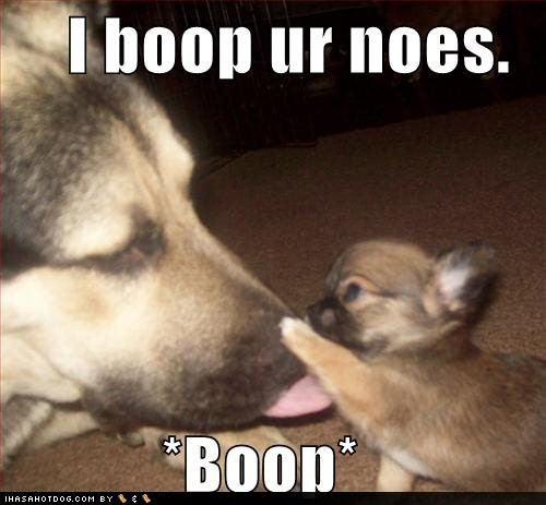 boop