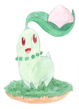 Chikorita