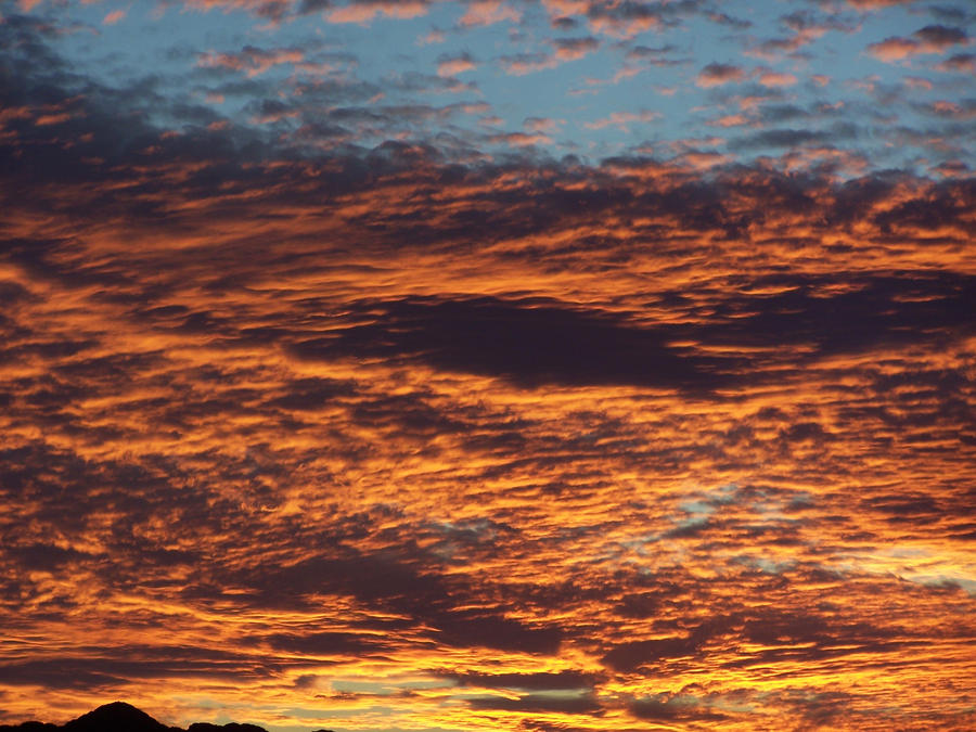 Arizona Sunset