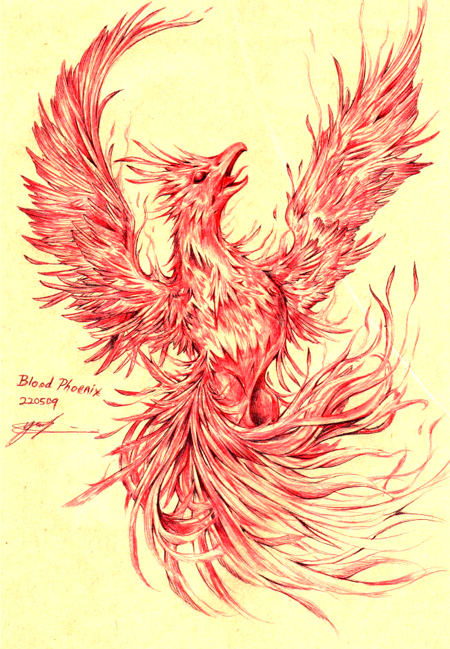 Blood Phoenix