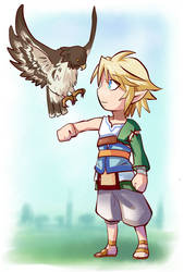 Link Hawk