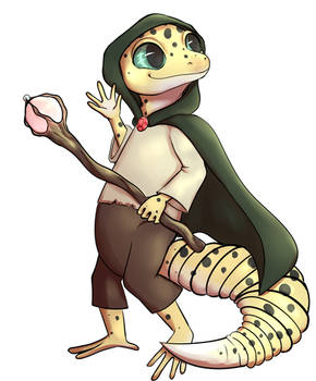 Lizard Wizard