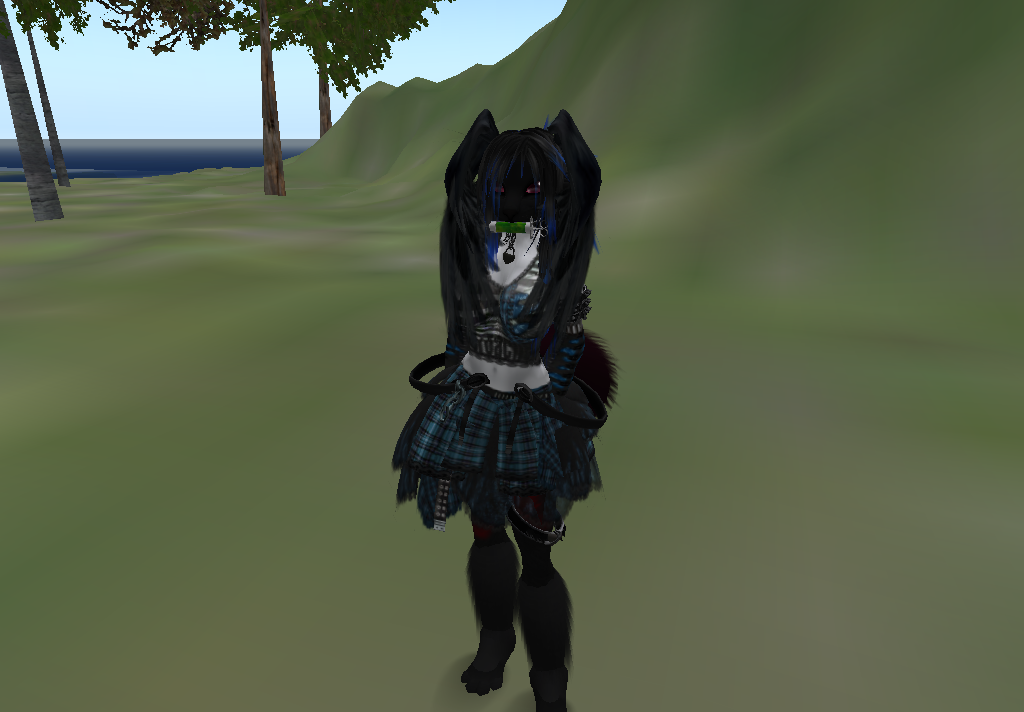 My Second Life Avatar