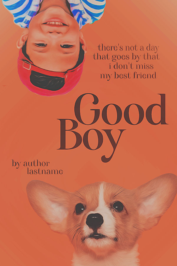 Good Boy Cover by somestarstuff on DeviantArt