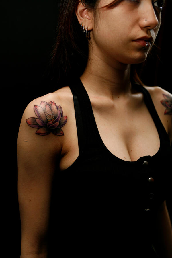 Purple Lotus Flower