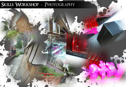 Photography Montage