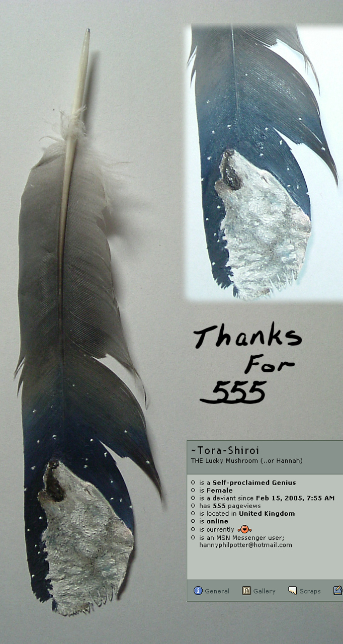 Thanks for 555 - feather paint