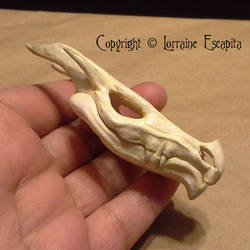 Miniature Dragon Skull -View 2