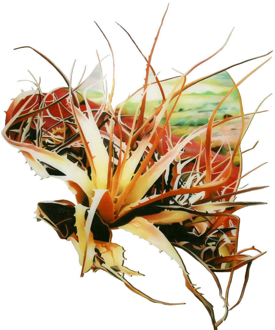 Aloe perspex