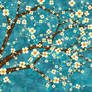 Almond Blossom