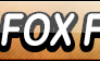 Dr. Fox Fan Button