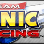 Team Sonic Racing XL Fan Button