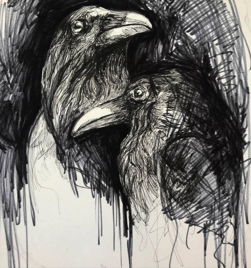 Odins Ravens By Saisona On DeviantArt