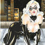 Black Cat