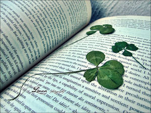 The Book Of Luck