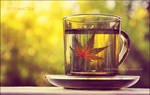 Autumn tea by Lenna3