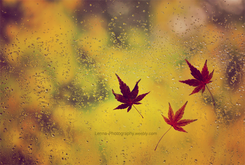 Autum 1