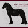 WG Black Jack |Aldergate Reference|
