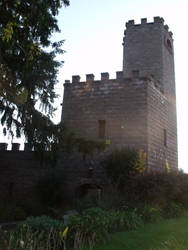 The Stone Tower