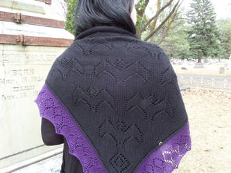 Bat Shawl