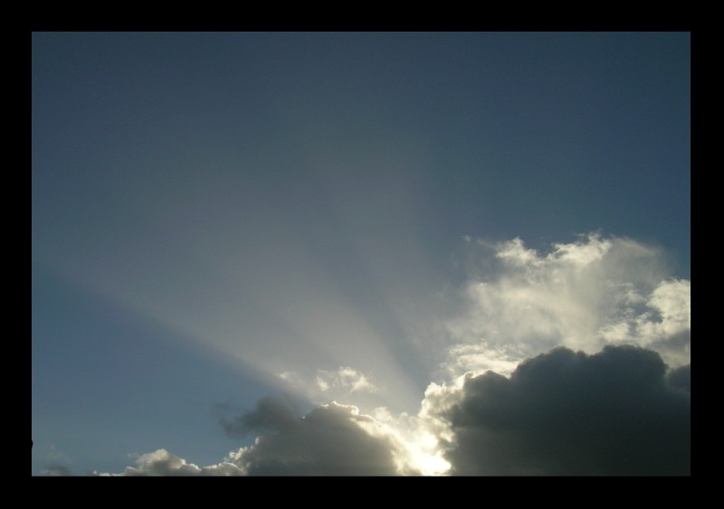 Todays Sunbeams ..............