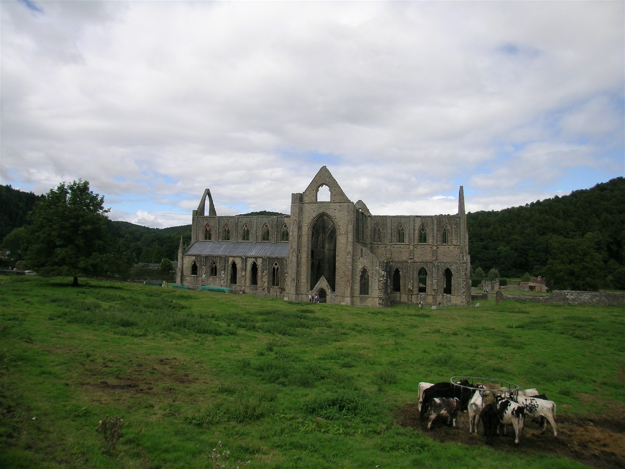 Tintern Abbey