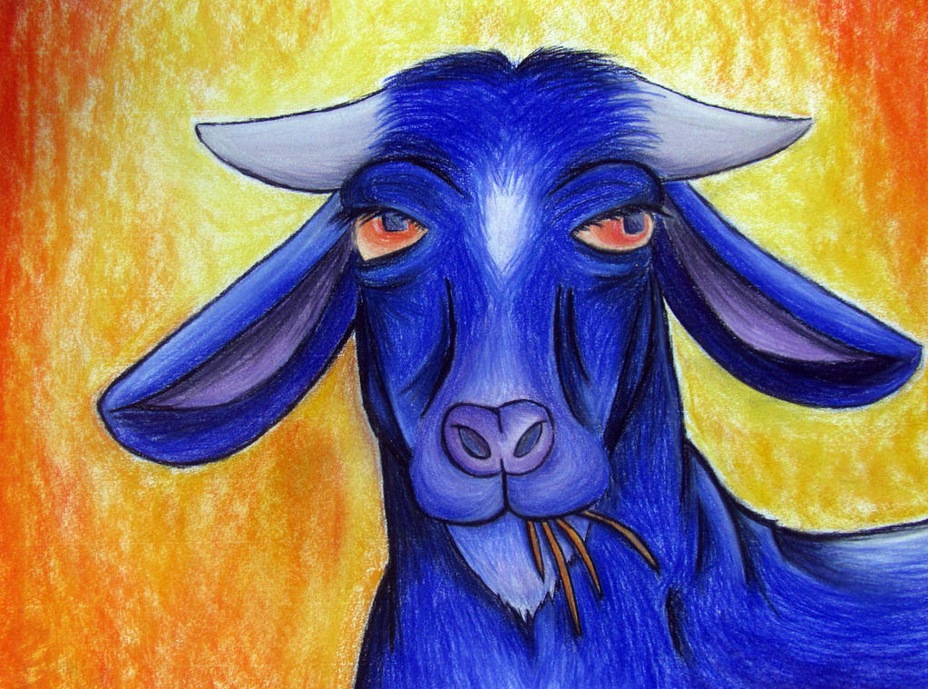 Deviantart Goatse The Goat by JarleTheGoat on DeviantArt