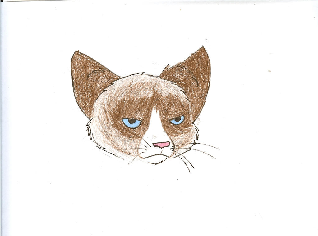 Grumpy cat by Agent-Utah on DeviantArt