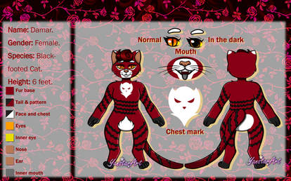 Damar Reference Sheet (not by me)