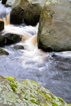 Padley Gorge