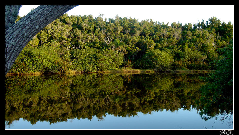 Warwick Pond by MaxKehrli on DeviantArt
