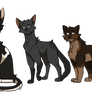 Windclan + an interloper