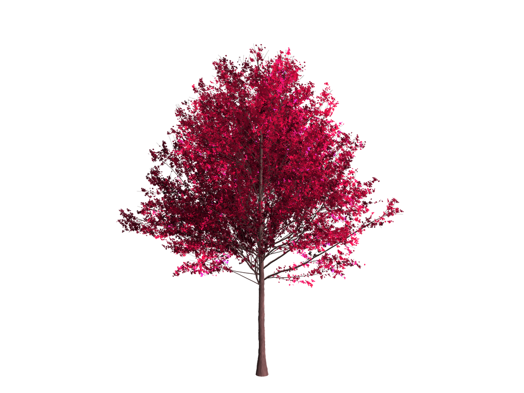 RANDOM TREE 1 by RaizelRose on DeviantArt