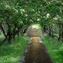 The Secret Garden