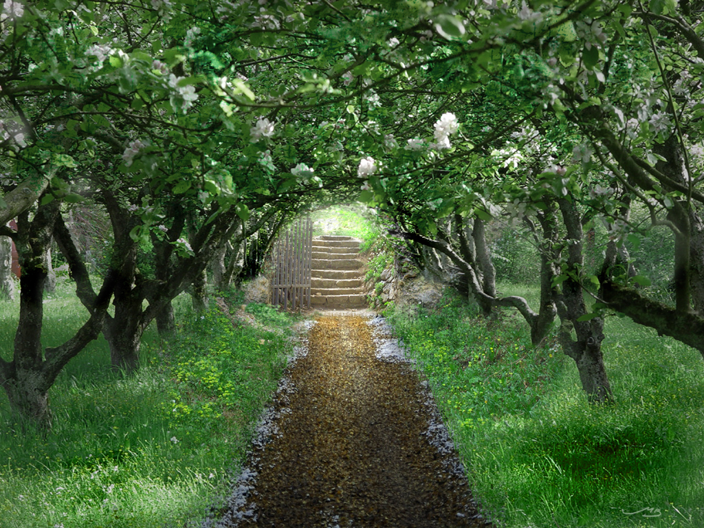 The Secret Garden by MistaBobby