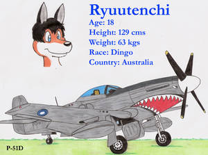 Ryuutenchi s P-51D