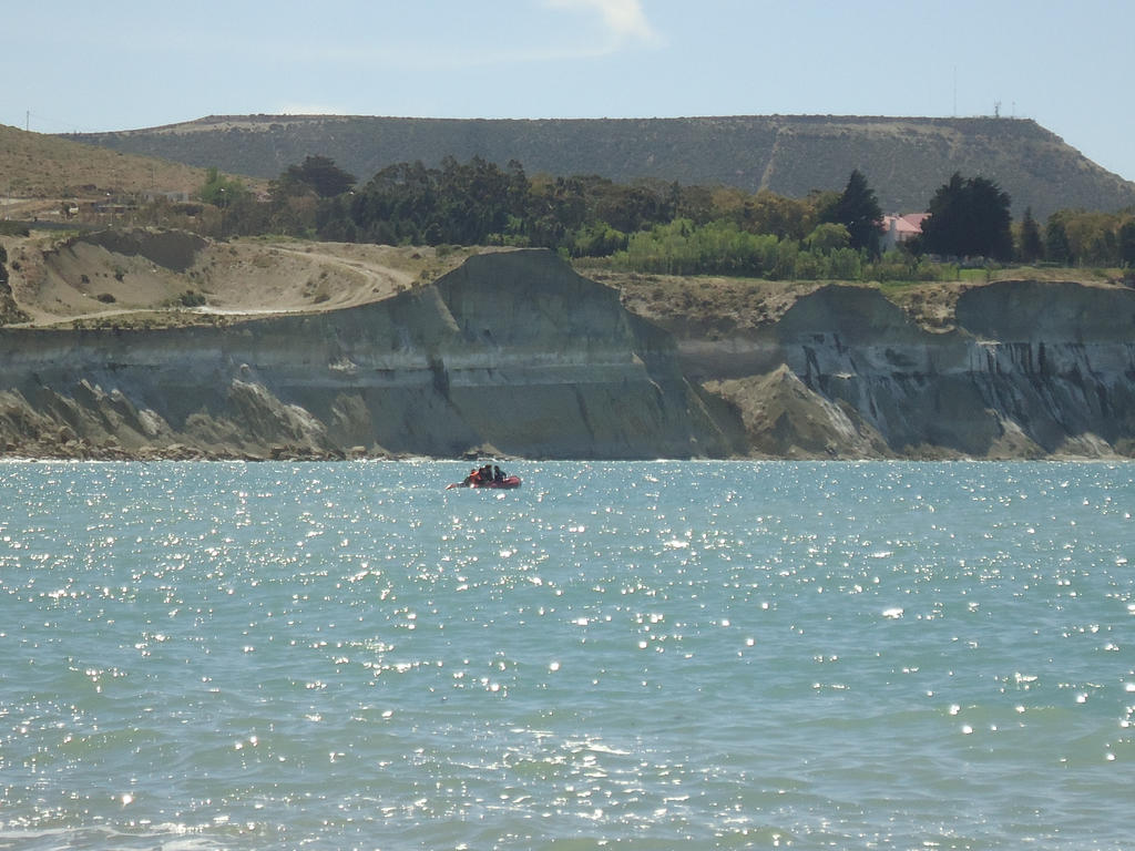 Yay spring day by DingoPatagonico on DeviantArt