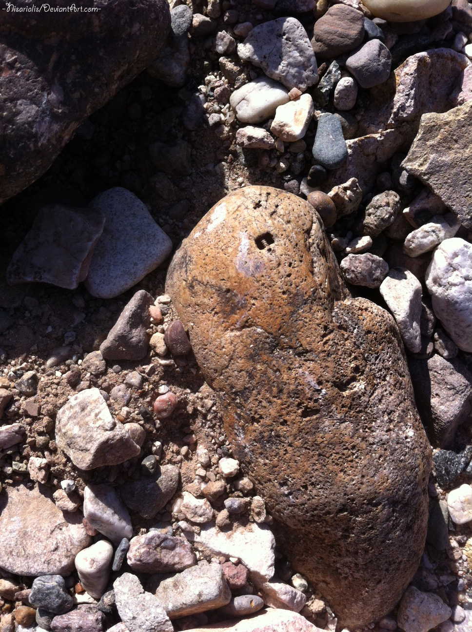 I Spy A Crinoid Stem Core Fossil