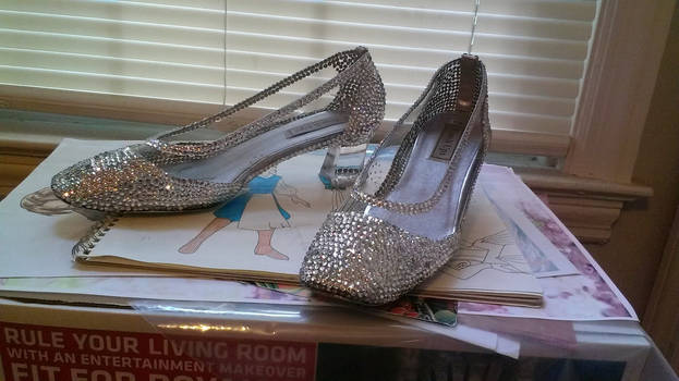Cinderella on Broadway Glass Slippers