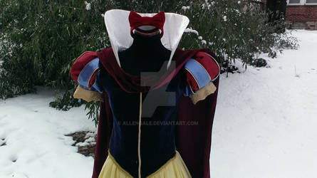Snow White Deluxe Costume: Close-Up