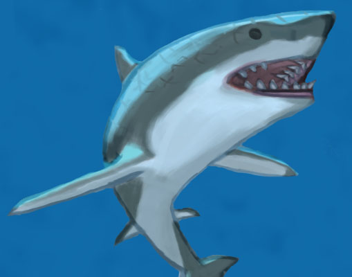 Shark Reference Practice by TheeGreatCake on DeviantArt