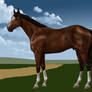 GES Son Of The God (USA)